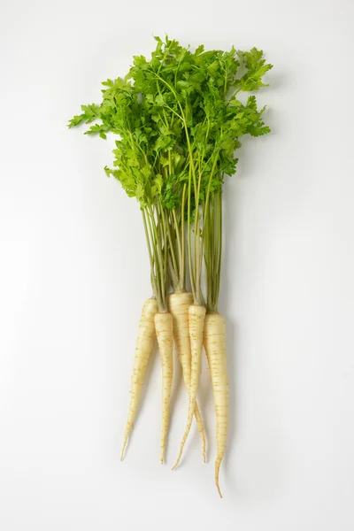 Fresh parsley roots — Stock Photo, Image