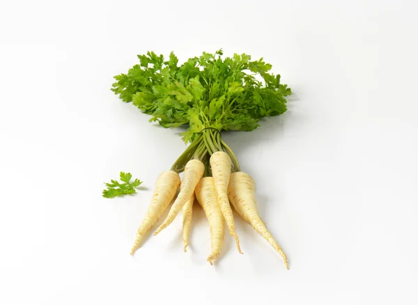 Fresh parsley roots — Stock Photo, Image