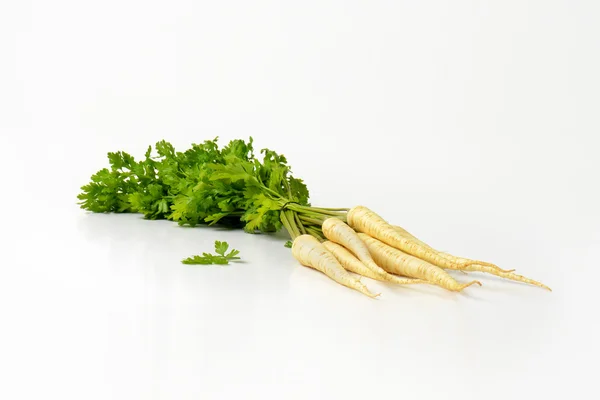 Fresh parsley roots — Stock Photo, Image