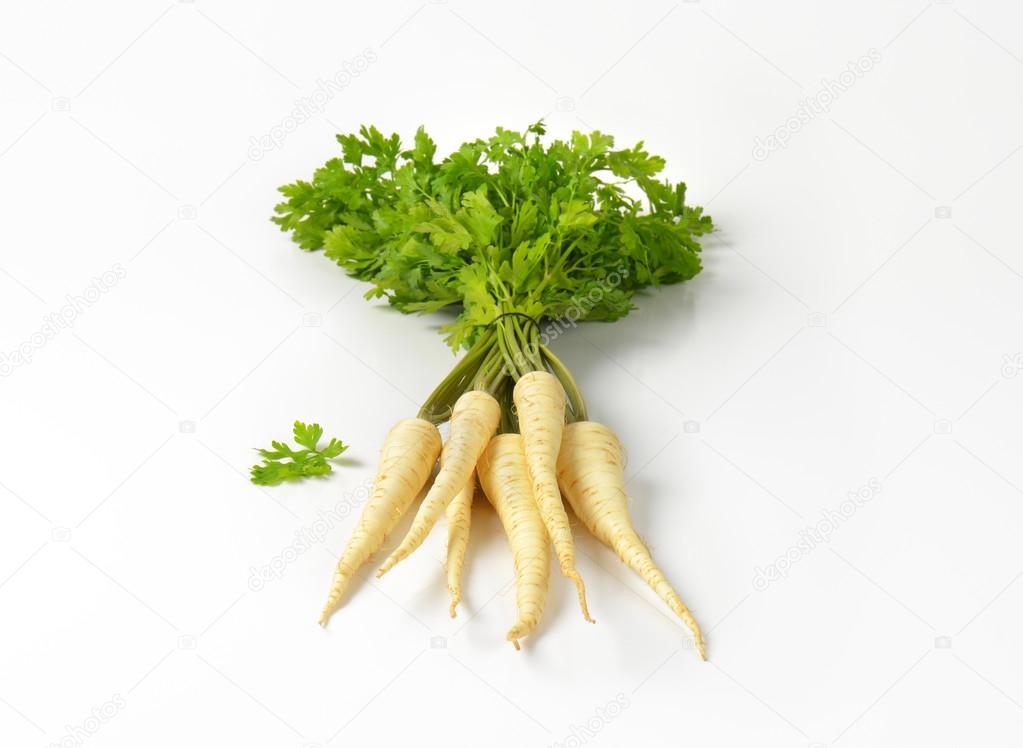 fresh parsley roots