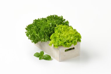 box of lettuce clipart