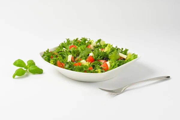 Vegetabilsk salat med feta – stockfoto