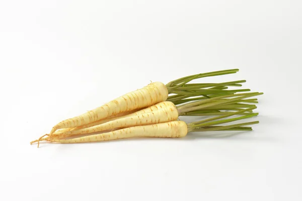 Frische Petersilienwurzeln — Stockfoto