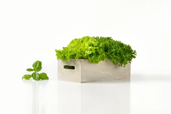 Box of lettuce — Stock Photo, Image