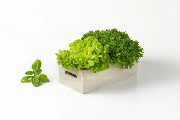 Box of lettuce — Stock Photo, Image