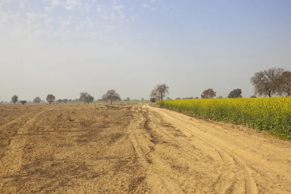 Dusty semi deserto paesaggio del Rajasthan — Foto Stock