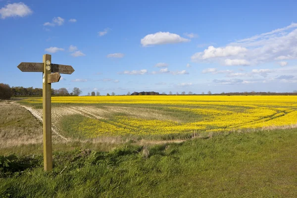 Wooden footpath sign post — Stock Photo, Image