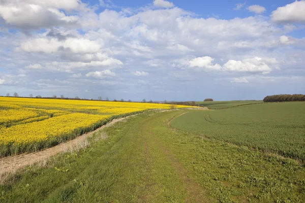 Campagna agricola in primavera — Foto Stock