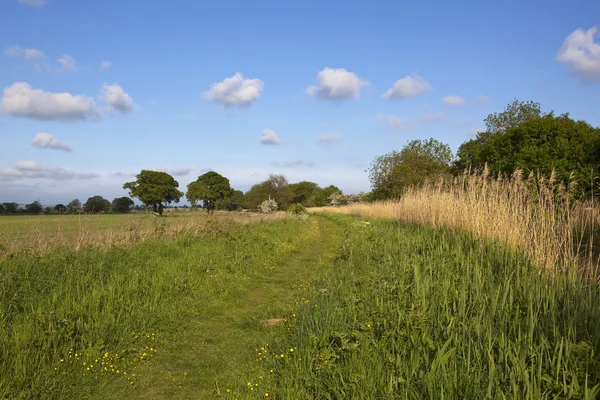 Scenic canal towpath — Stock Photo, Image