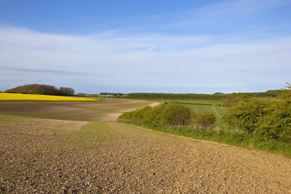 Kulturboden im Frühling — Stockfoto