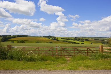 new fence and patchwork fields landscape clipart