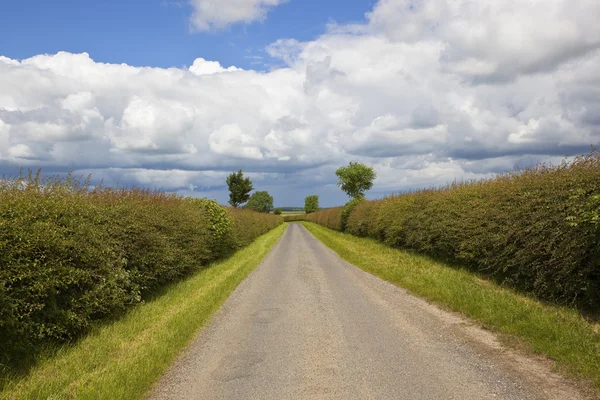 Landweg in de zomer — Stockfoto