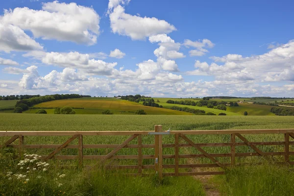 Scenic landscape with new fence — Stock Photo, Image