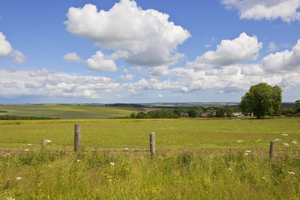 Yorkshire wolds çiftlik ve sahne — Stok fotoğraf