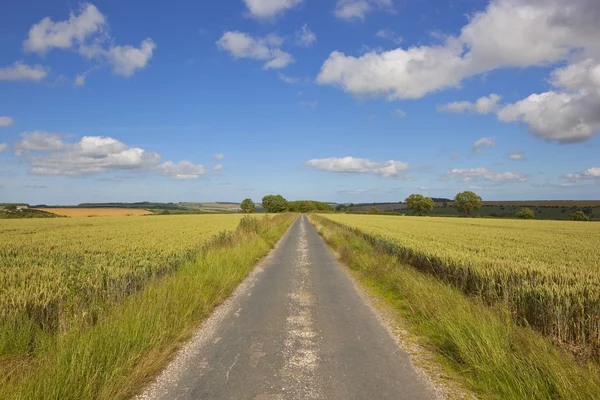 Doğal yorkshire wolds yol — Stok fotoğraf