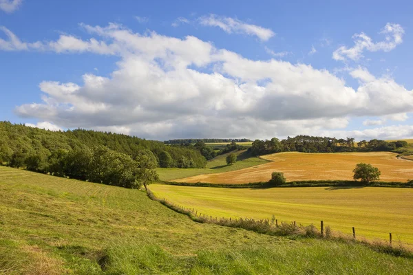 Lappendeken zomer landschap — Stockfoto