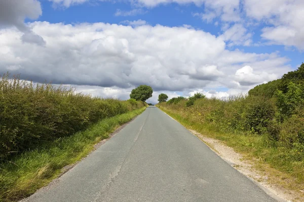 Summer country road — Stock Photo, Image