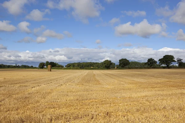 Heuhaufen im Sommer — Stockfoto