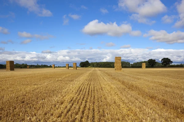 Straw stacks at harvest time — Stock Photo, Image