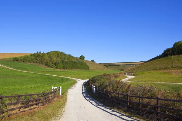 Ein weißer Kalkstein-Feldweg durch Flickwerk-Felder am Hang im Sommer — Stockfoto