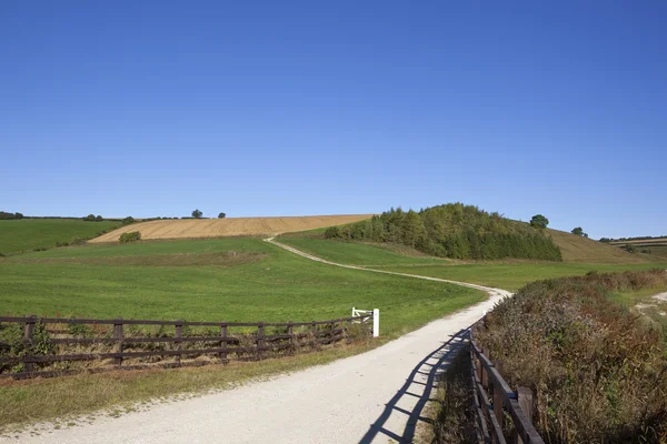A white limestone farm track — Stock Photo, Image
