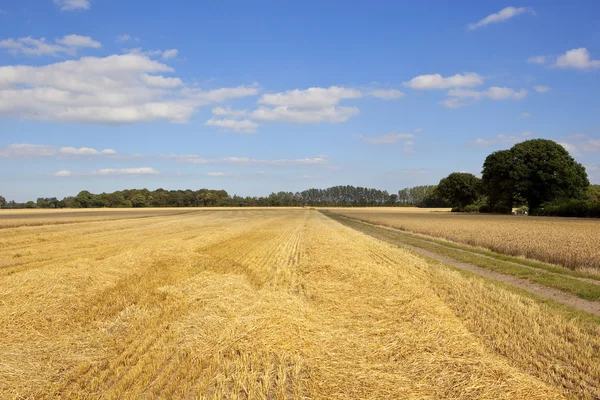 Skördade fält i yorkshire — Stockfoto