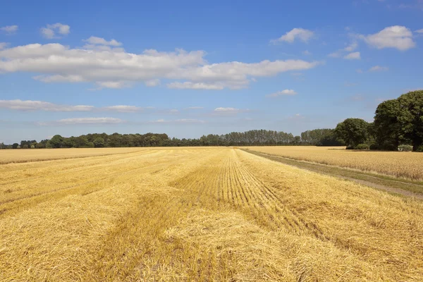 Pista de fazenda e campo de restolho — Fotografia de Stock