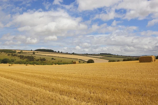 Straw bales in summer — Stock Photo, Image