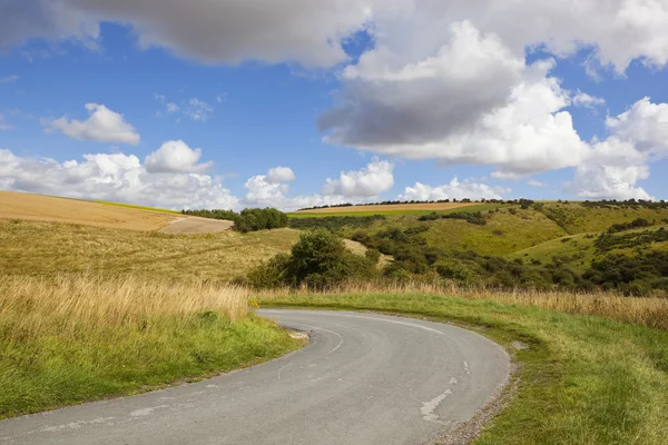 Weiden und Autobahn — Stockfoto