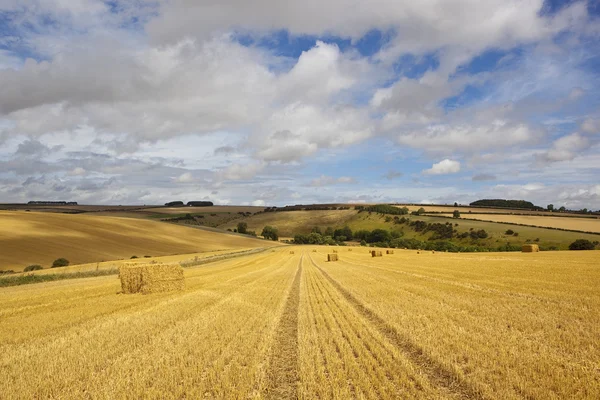 Straw bales at harvest time — Stock Photo, Image