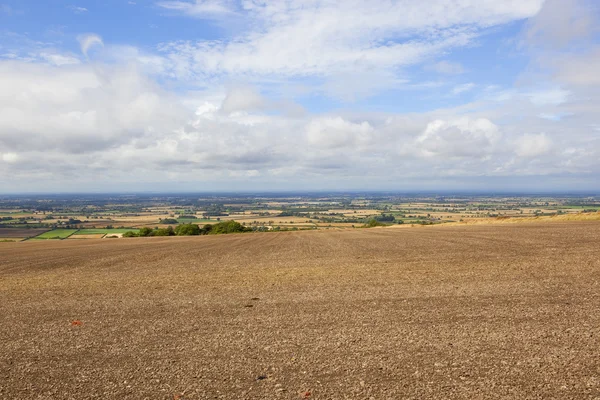 Een ontgonnen veld in de zomer — Stockfoto