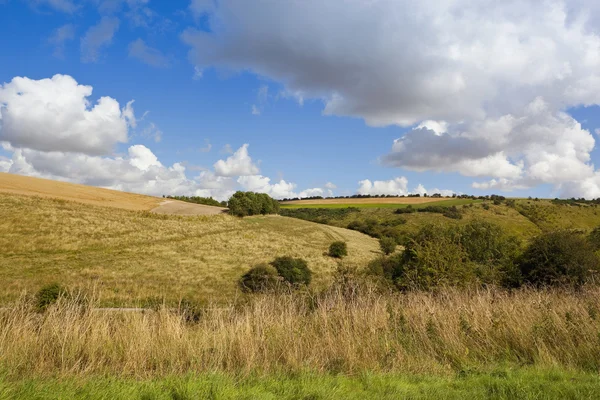 Hillside fields and meadows — Stock Photo, Image