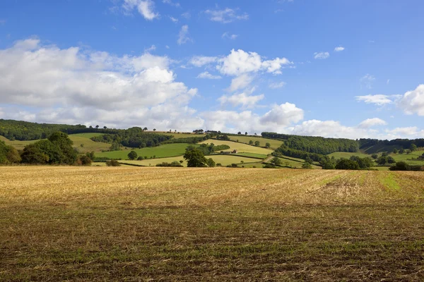 Campi raccolti in estate — Foto Stock