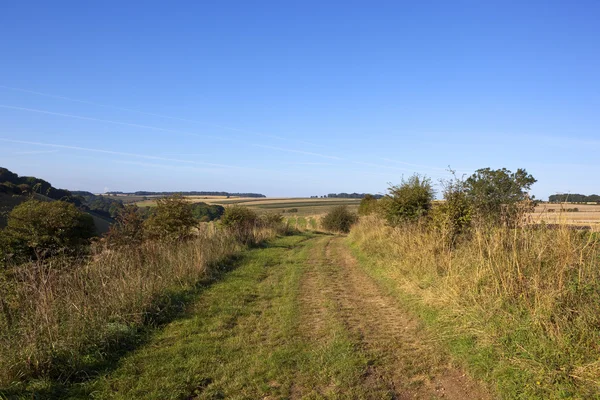 Yorkshire wolds farm track in September — Stock Photo, Image