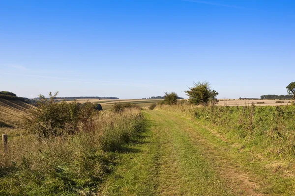 Malerischer Münsterweg — Stockfoto