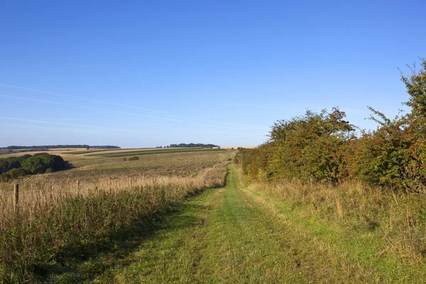 ミンスター道 bridleway — ストック写真