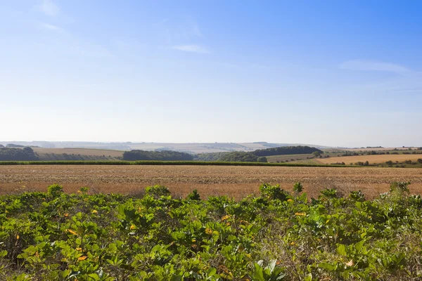 Йоркширський wolds краєвид під час збору врожаю — стокове фото