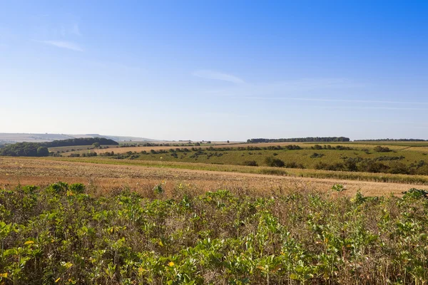 Paesaggio agricolo a fine estate — Foto Stock