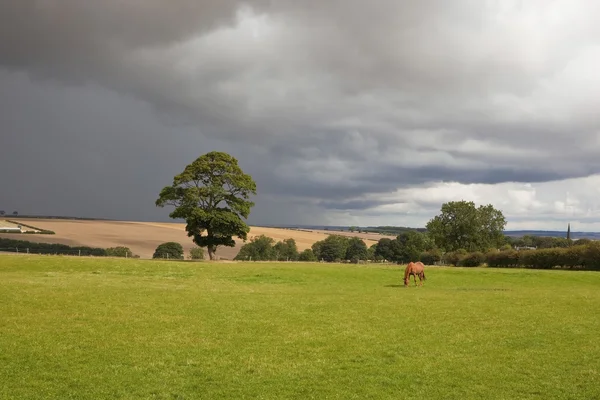 Nubes de tormenta sobre el paisaje rural — Foto de Stock