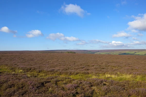 Scenic moorland — Stock Photo, Image