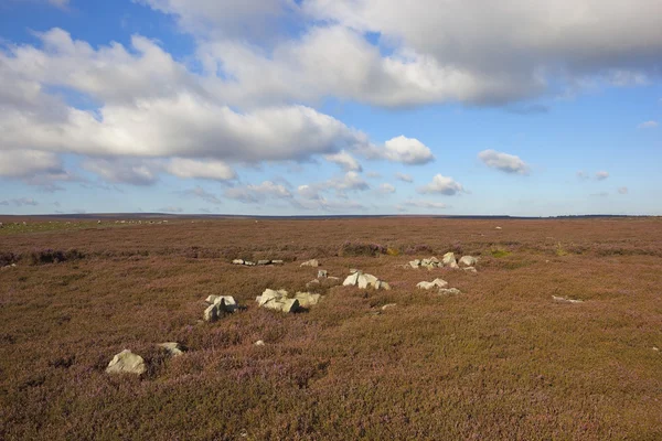 Rocky moorland landskap — Stockfoto