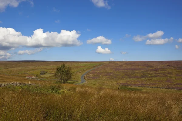 Hooggelegen landschap — Stockfoto