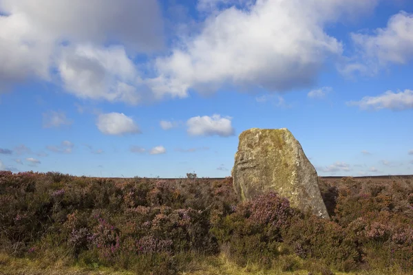 Ancient monolith in heather — Stock Photo, Image