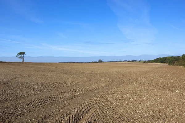 Культивируемые почвы осенью — стоковое фото