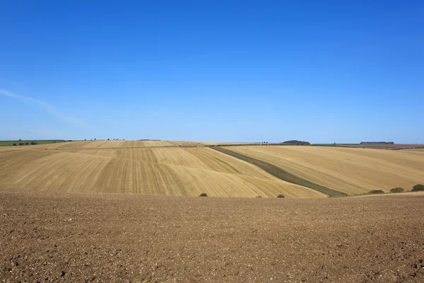 Yorkshire wolds harvest — Stock Photo, Image