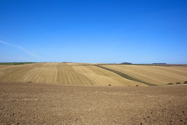 Tiempo de cosecha agricultura — Foto de Stock