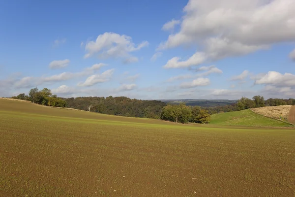 Yorkshire wolds krajobraz — Zdjęcie stockowe