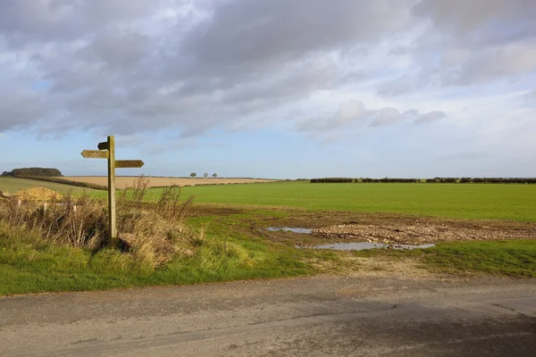 Yorkshire wolds bridleway — Stock Photo, Image