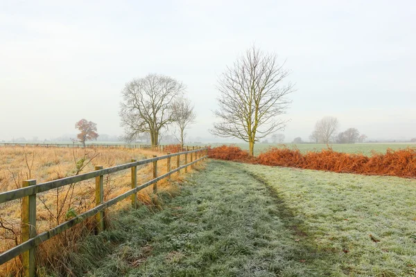 Frostiga land morgon — Stockfoto