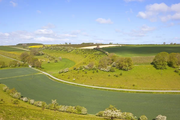 Paisagem rural inglesa — Fotografia de Stock